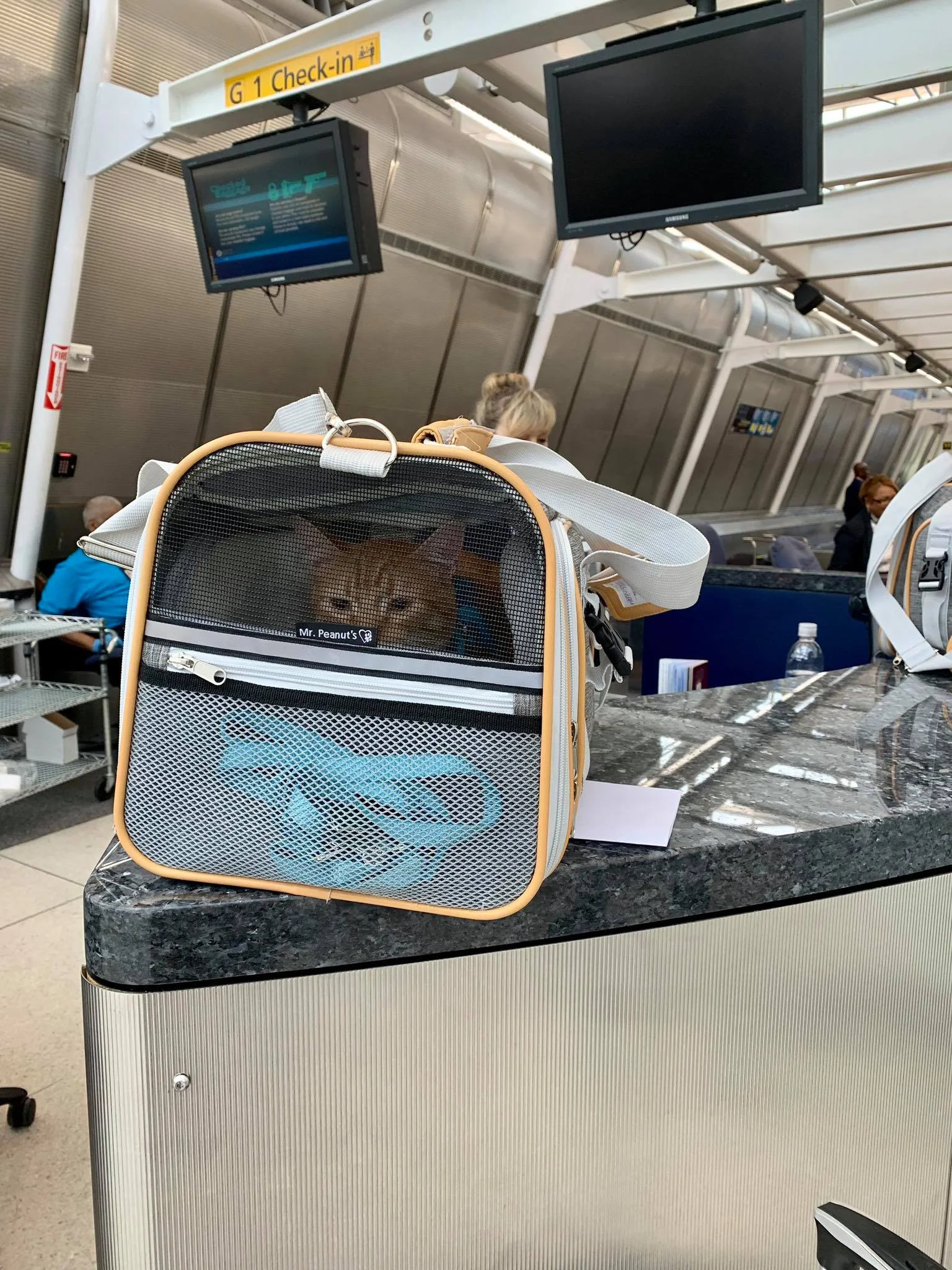 Lufthansa 2024 pet carrier
